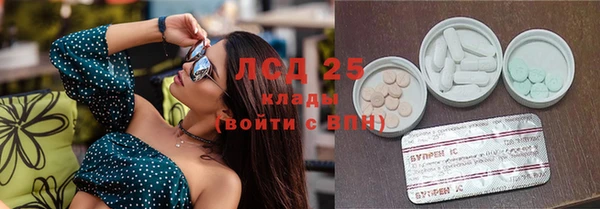 дмт Нея