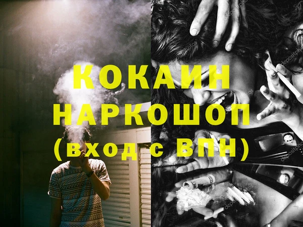 дмт Нея